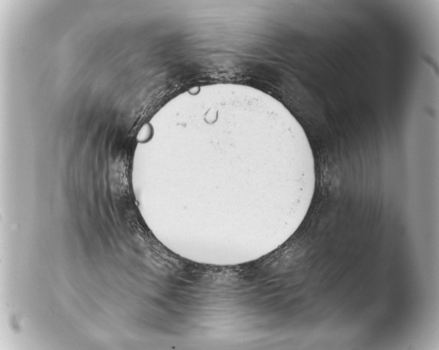 X0000103941106200810031315