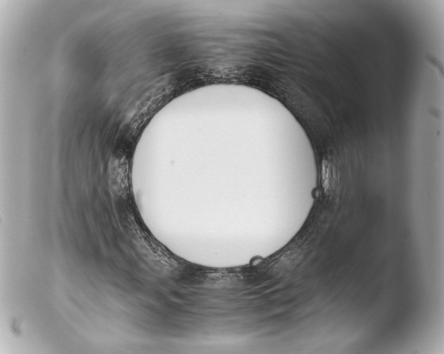 X0000103941107200810031315