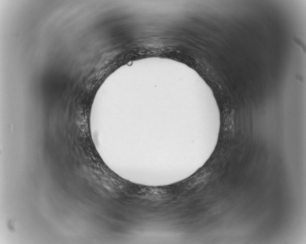 X0000103941109200810031316