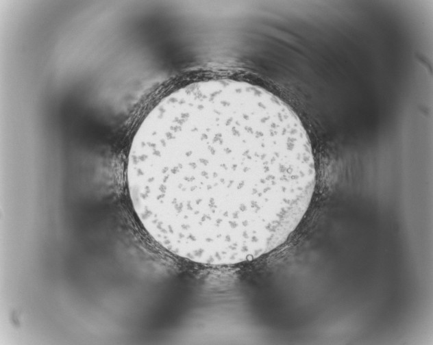 X0000103941110200810031316