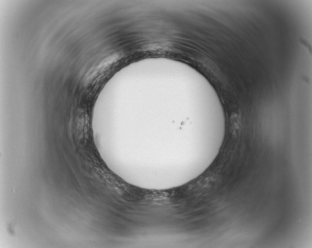 X0000103941111200810031316