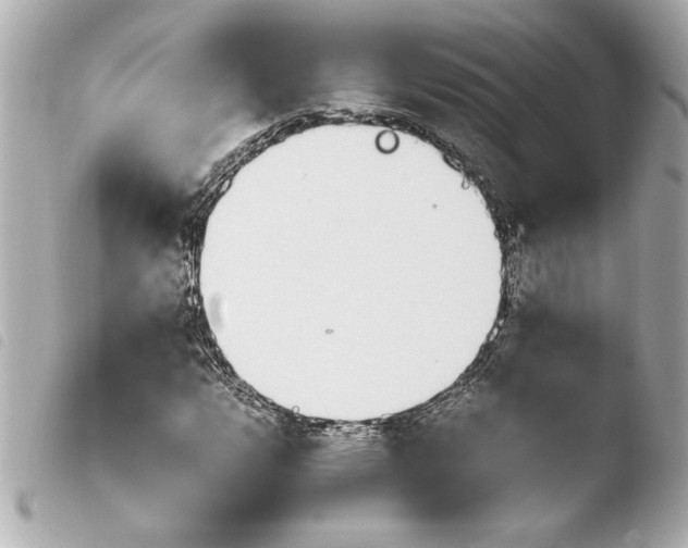 X0000103941112200810031316