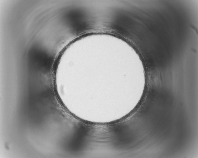 X0000103941114200810031316