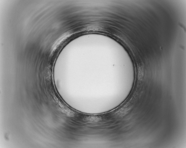 X0000103941115200810031316