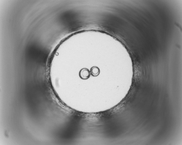 X0000103941116200810031316