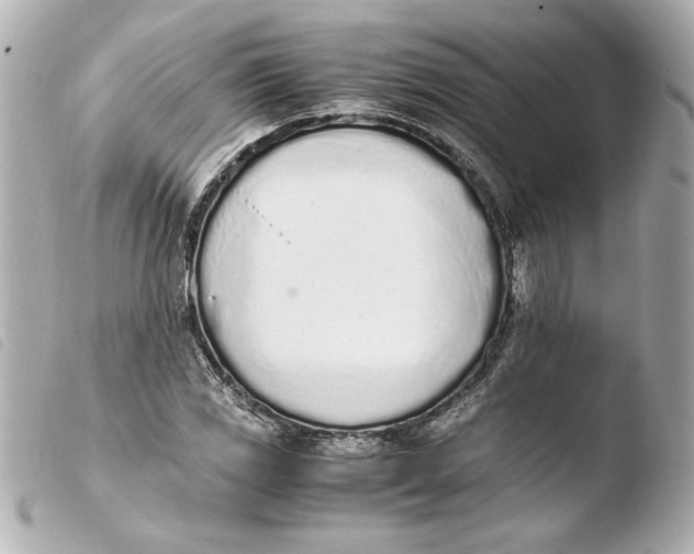 X0000103941117200810031316