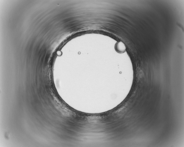 X0000103941118200810031316