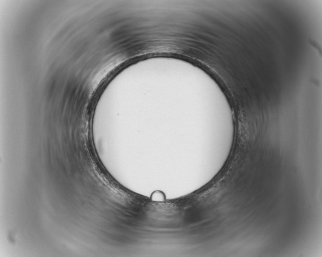 X0000103941119200810031316