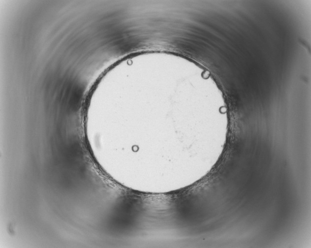 X0000103941120200810031316