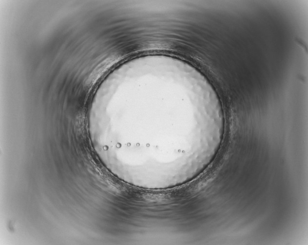 X0000103941121200810031316