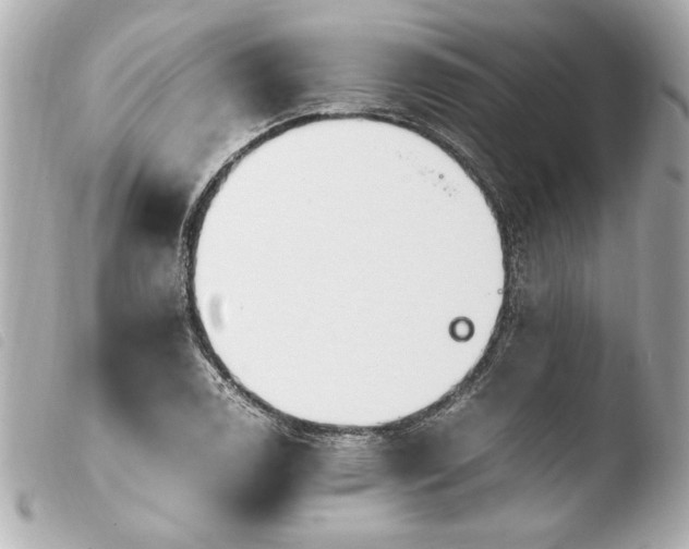 X0000103941122200810031316