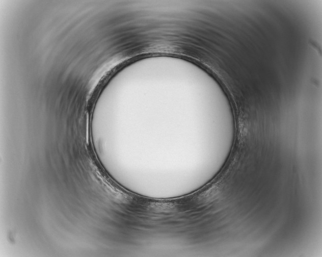 X0000103941123200810031316