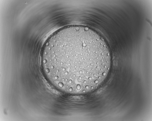 X0000103941125200810031316