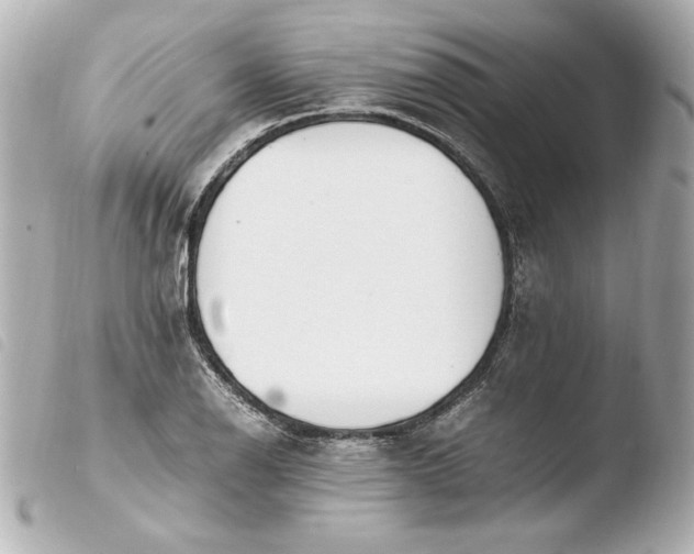 X0000103941126200810031316