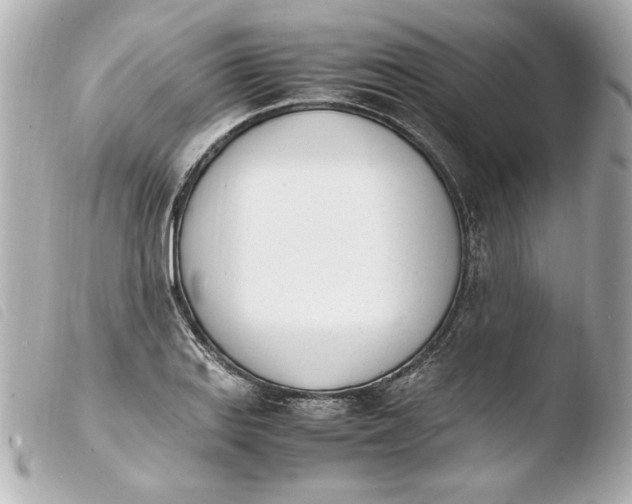 X0000103941127200810031316