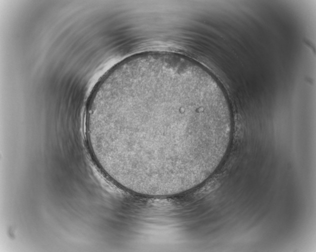 X0000103941128200810031316