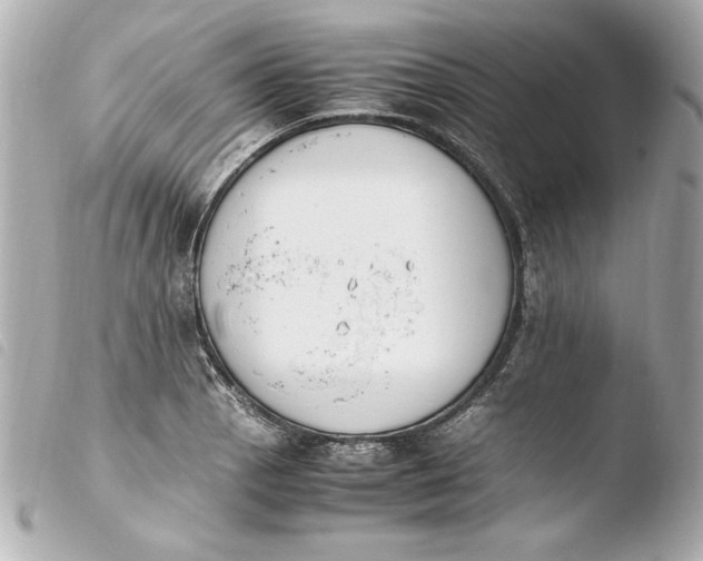 X0000103941129200810031316