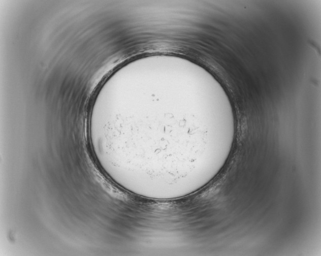 X0000103941130200810031316