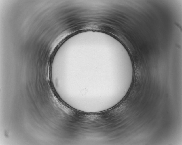 X0000103941131200810031316