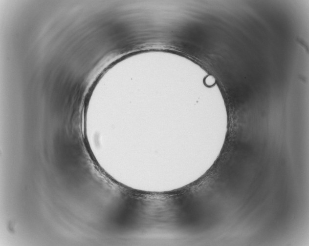 X0000103941132200810031316