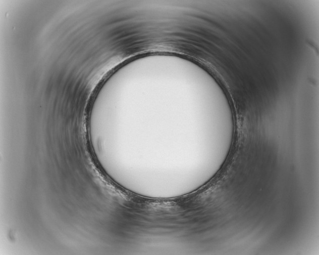 X0000103941133200810031316