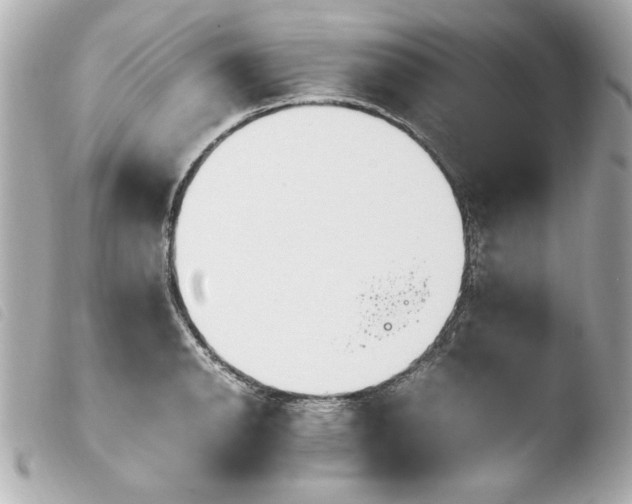 X0000103941134200810031316