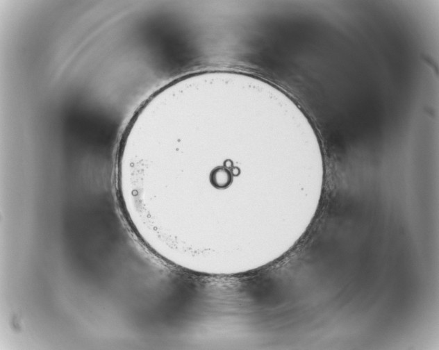 X0000103941136200810031316