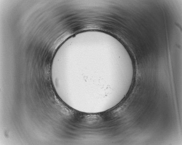 X0000103941137200810031316