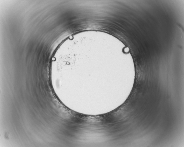 X0000103941138200810031316