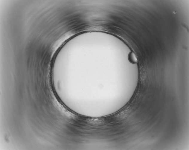 X0000103941139200810031316