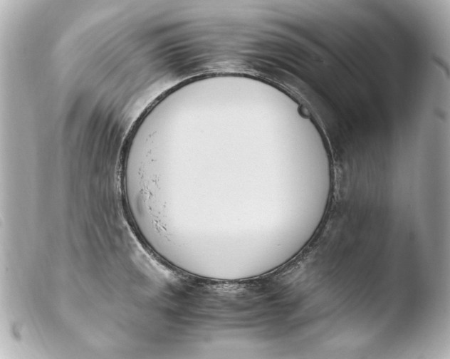 X0000103941141200810031316