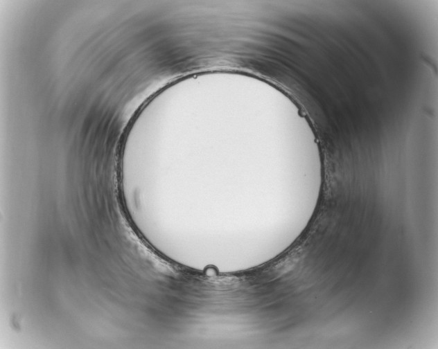 X0000103941142200810031316