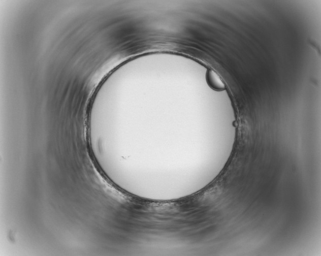 X0000103941143200810031316