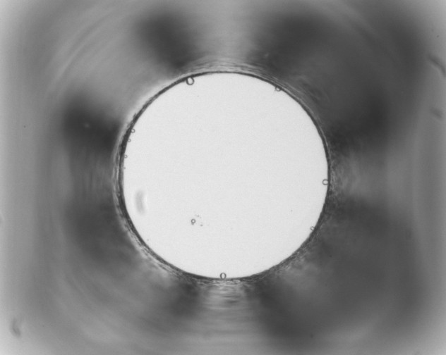 X0000103941144200810031316