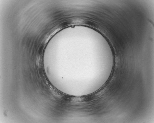 X0000103941145200810031316