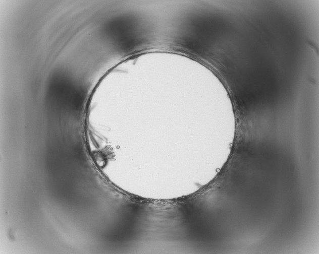 X0000103941146200810031316