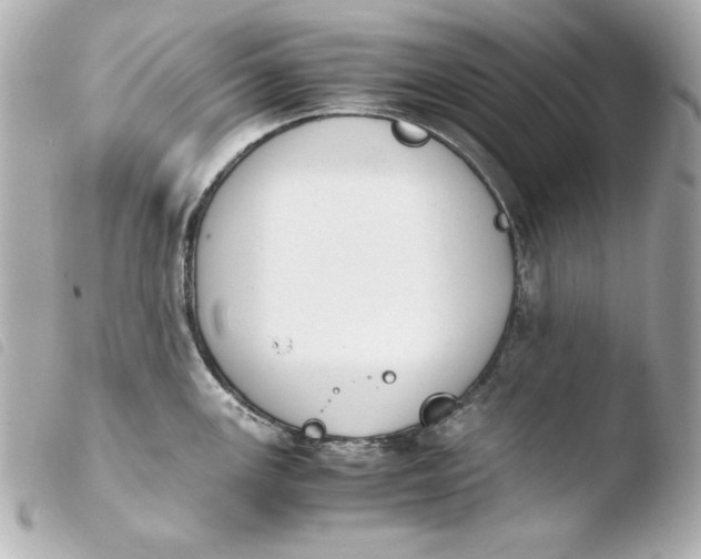 X0000103941147200810031316