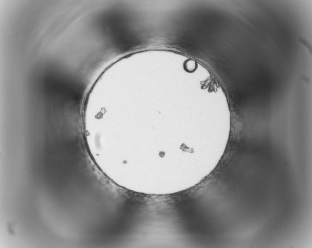 X0000103941148200810031316