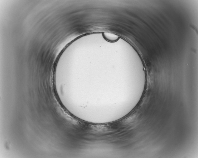 X0000103941149200810031316