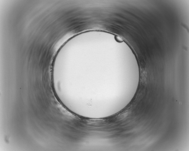 X0000103941151200810031316