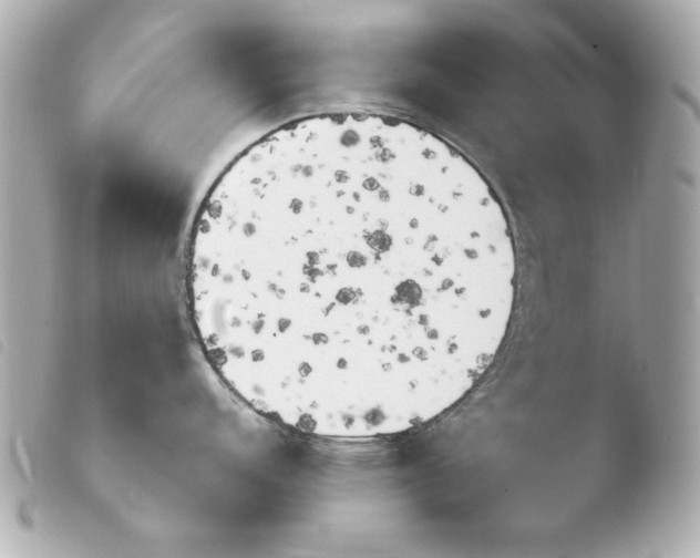 X0000103941152200810031316