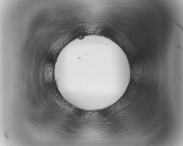 X0000103941154200810031315