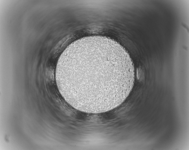 X0000103941155200810031315