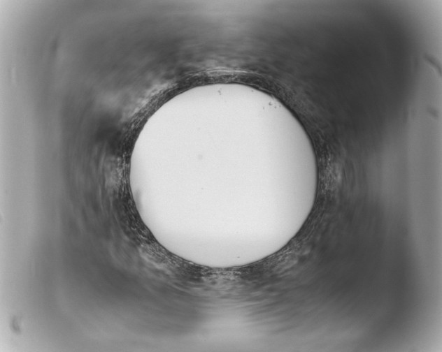 X0000103941157200810031315