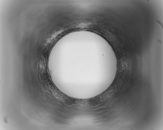 X0000103941158200810031315