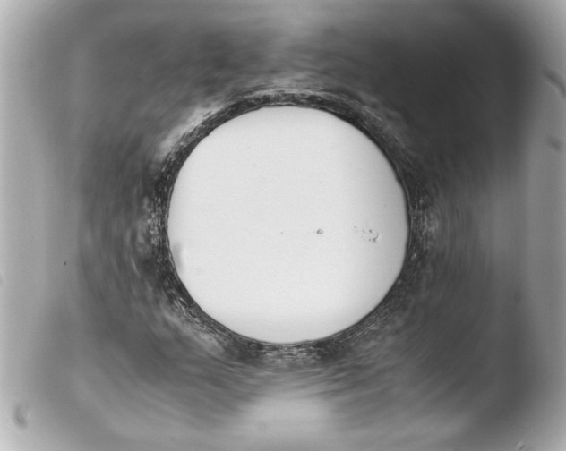 X0000103941159200810031315