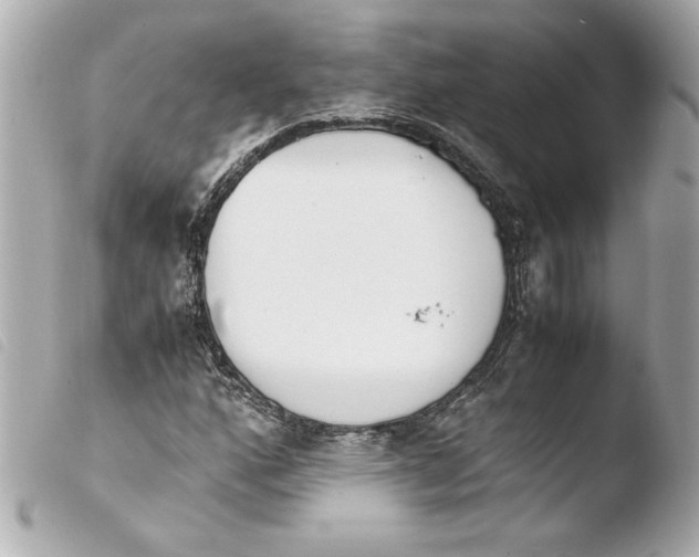 X0000103941160200810031315