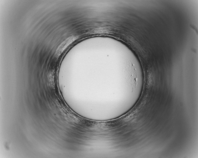 X0000103941162200810031315