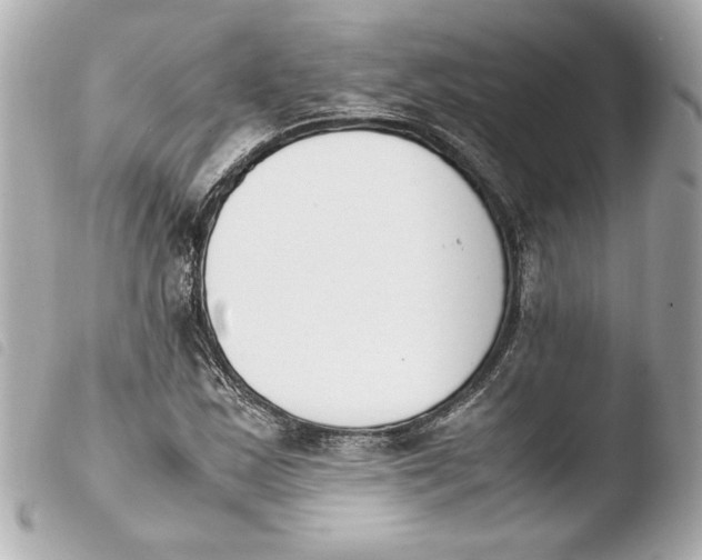 X0000103941163200810031315