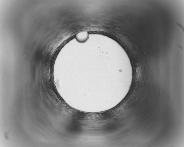 X0000103941165200810031315